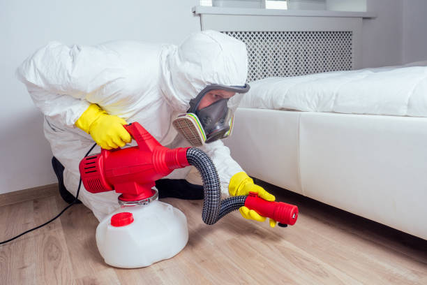 Best Pest Prevention Services  in Rome, NY